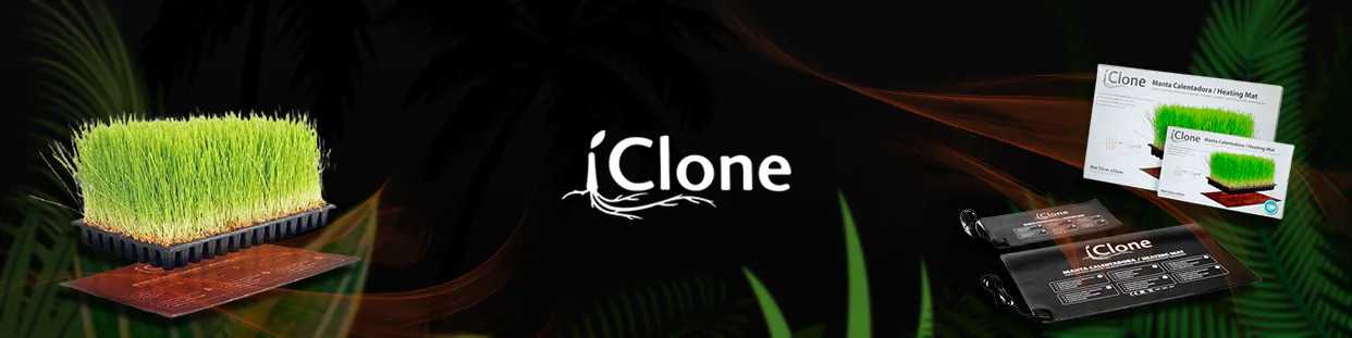 iClone