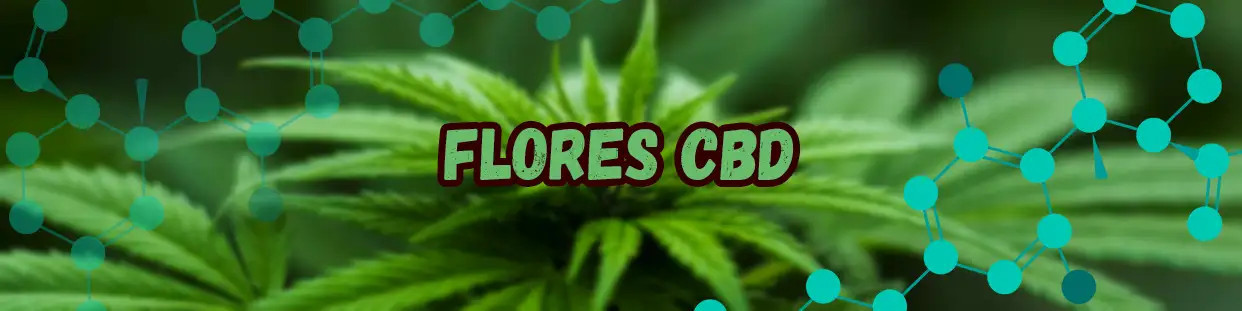 Flores CBD de alta calidad de las mejores marcas