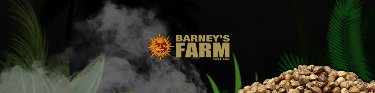 Barney's Farm banco de semillas de cannabis de calidad