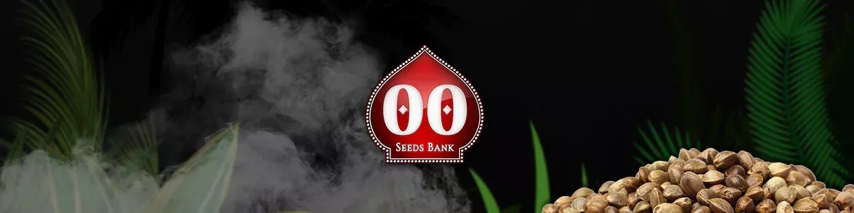 00 Seeds banco de semillas de cannabis de calidad