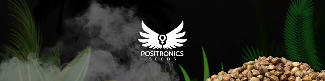 Positronics Seeds CBD semillas de cannabis ricas en cbd