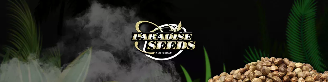 Paradise Seeds semillas de marihuana de alta calidad