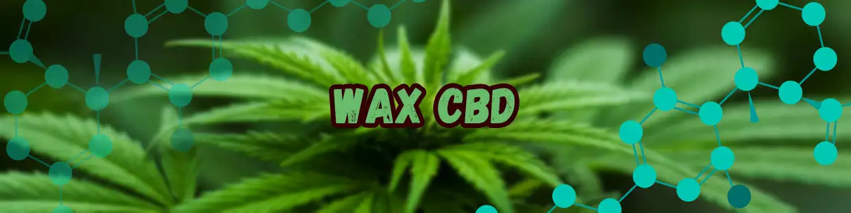 Wax CBD de primera calidad, extracto de cannabidiol