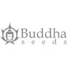 Buddha Seeds Bank